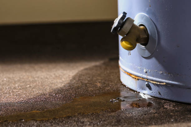 Best Water damage restoration near me  in Yulee, FL