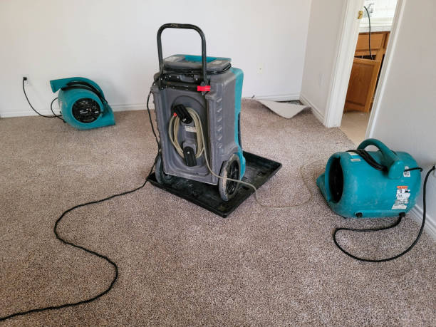Best Water damage restoration experts  in Yulee, FL