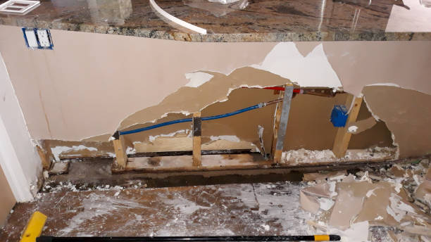 Best Water damage cleanup near me  in Yulee, FL