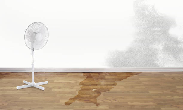  Yulee, FL Water damage restoration Pros
