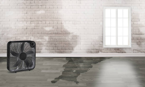 Best Flood restoration services  in Yulee, FL