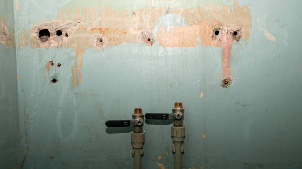Best Flood damage cleanup  in Yulee, FL