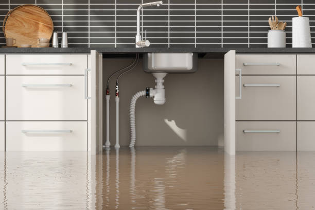 Best Mold removal after water damage  in Yulee, FL