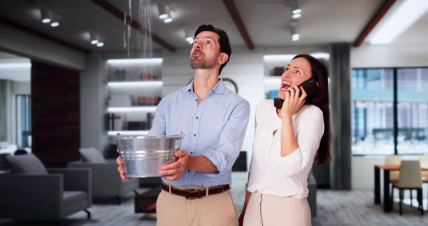 Best Professional water damage repair  in Yulee, FL