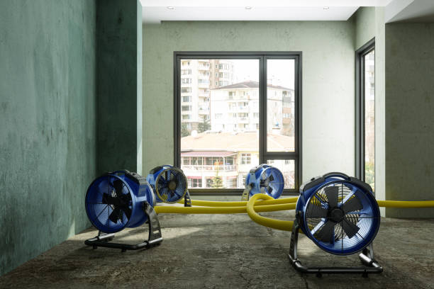 Best Sewage cleanup and water damage restoration  in Yulee, FL